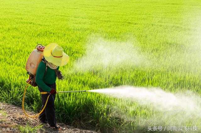 Lámparas solares insecticidas y pesticidas uno contra el otro, ¿quién es mejor?